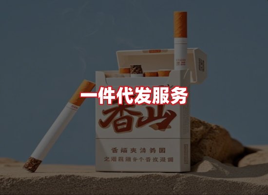 专业团队